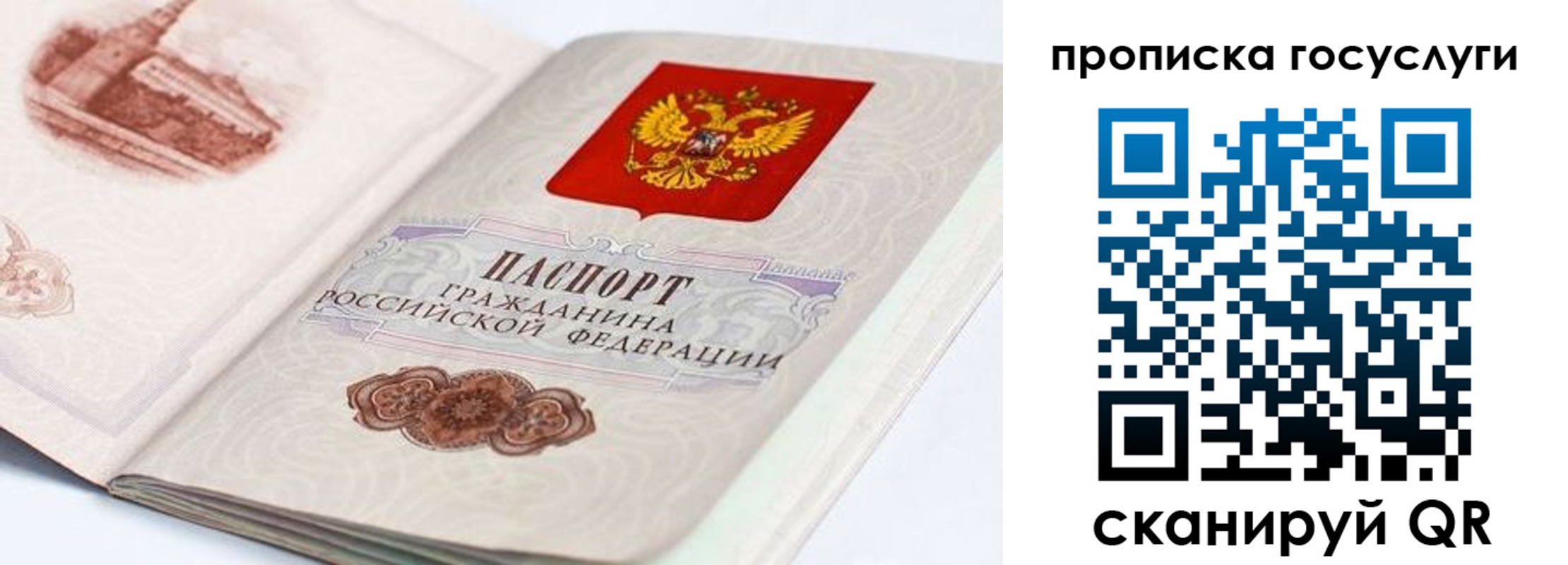 прописка гарантия в Дубовке